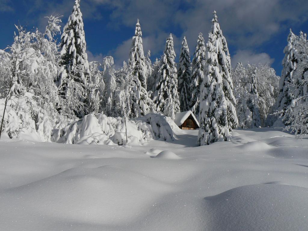 Appartamento Hiska Henrik Zalokar Bohinj Esterno foto