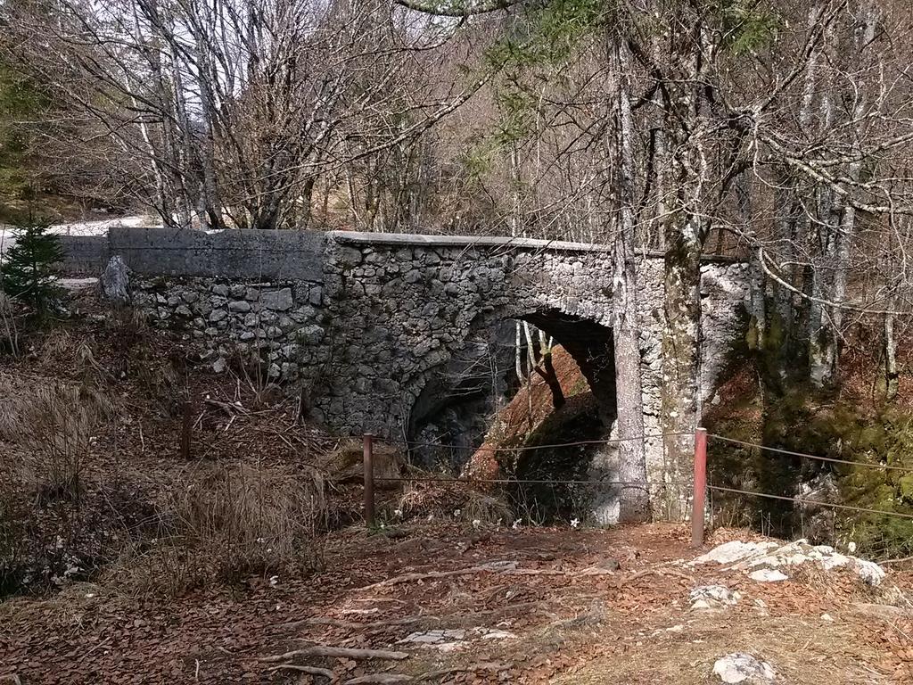 Appartamento Hiska Henrik Zalokar Bohinj Esterno foto